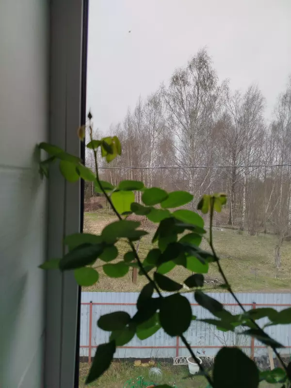 Загородная жизнь - обустройство на земле во всем разнообразии