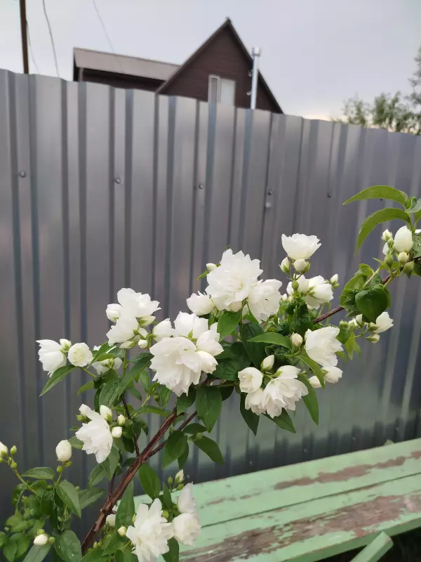 Загородная жизнь - обустройство на земле во всем разнообразии
