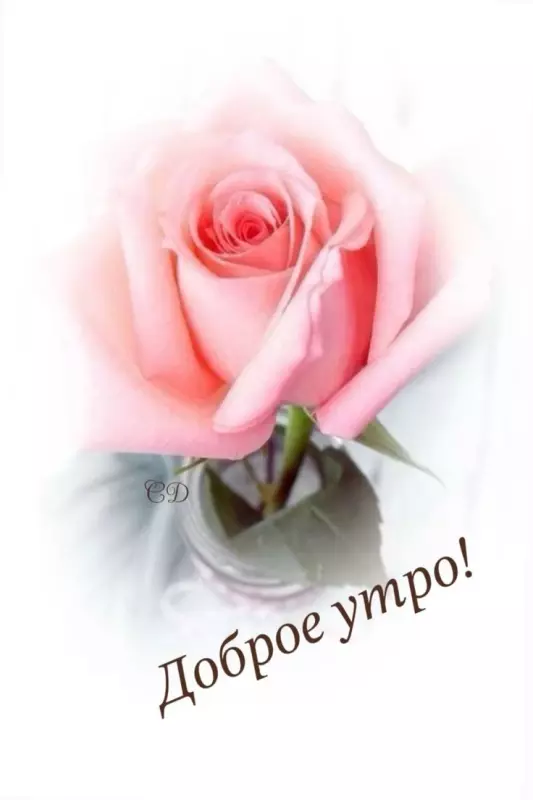 Tapтaлeтки & Ко
