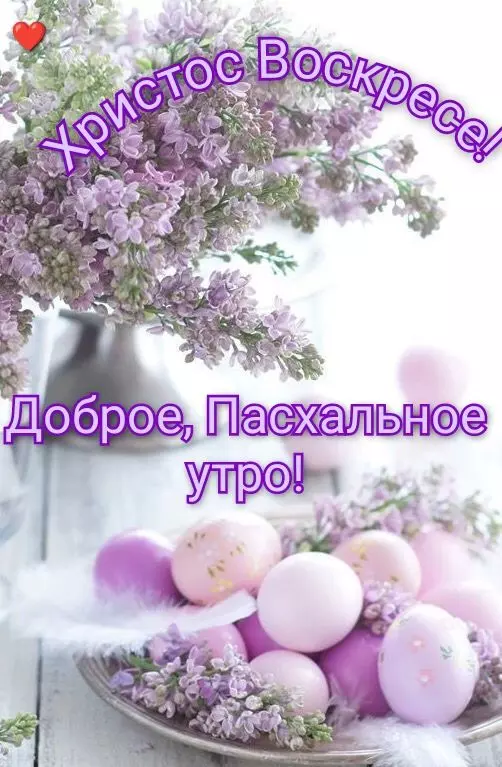 Tapтaлeтки & Ко