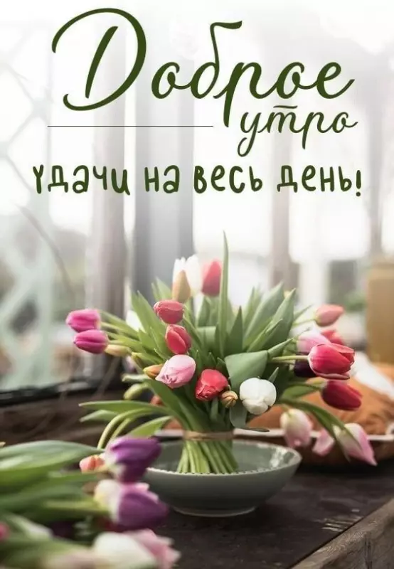 Tapтaлeтки & Ко