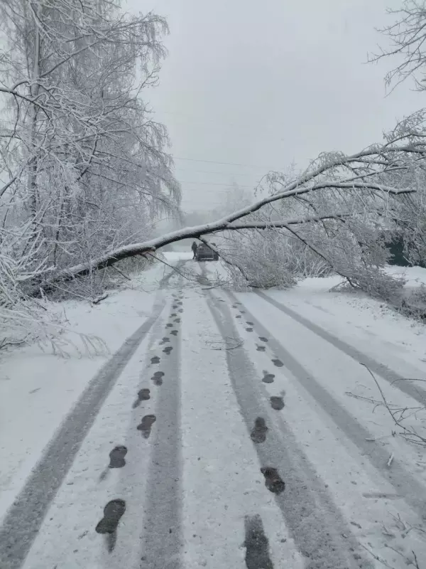 Tapтaлeтки & Ко