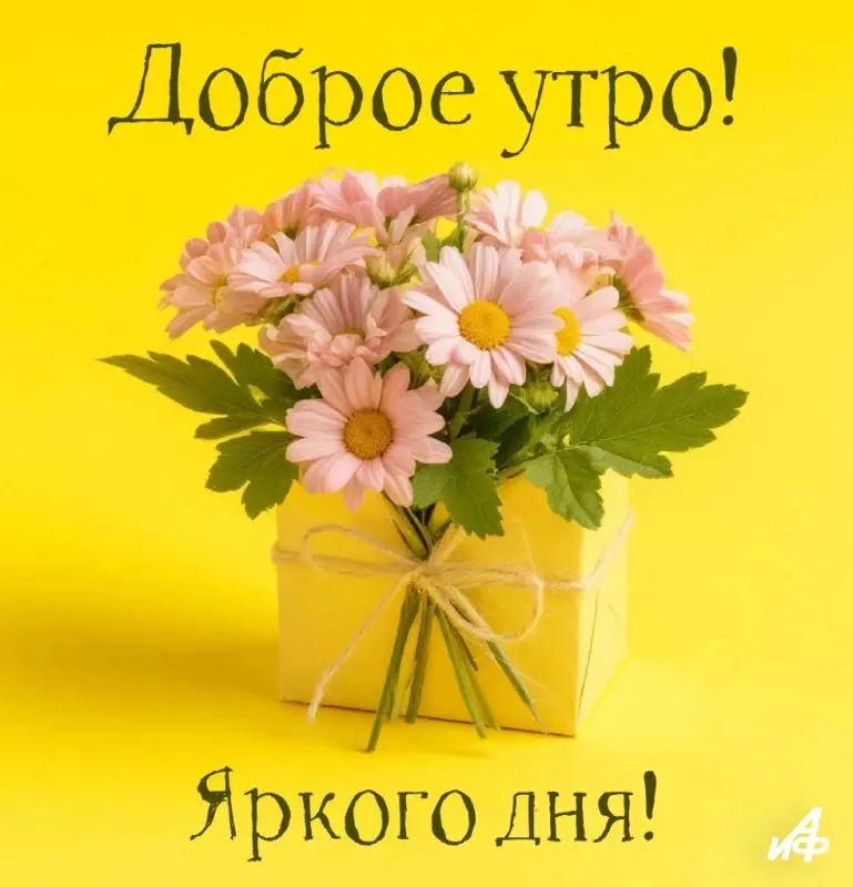 Tapтaлeтки & Ко