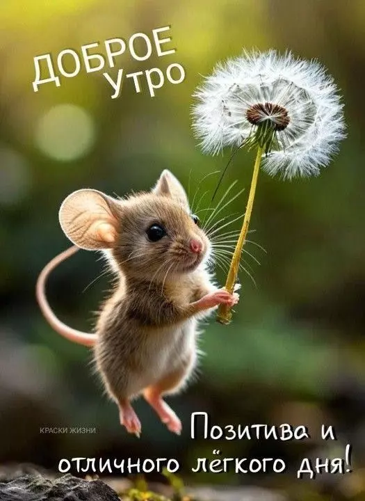 Tapтaлeтки & Ко