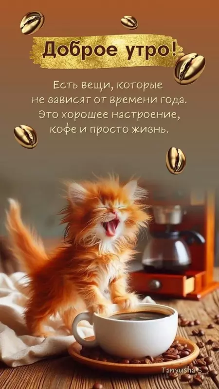 Tapтaлeтки & Ко