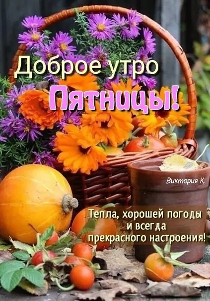 Tapтaлeтки & Ко