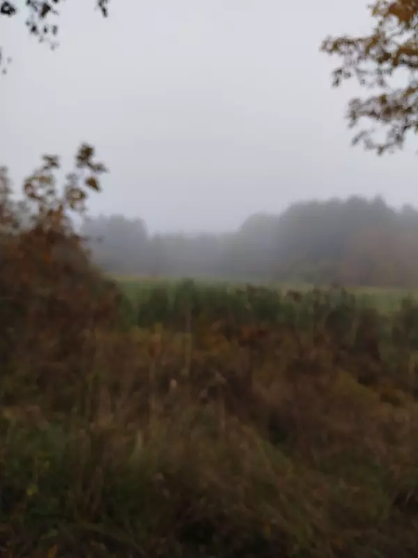 Tapтaлeтки & Ко