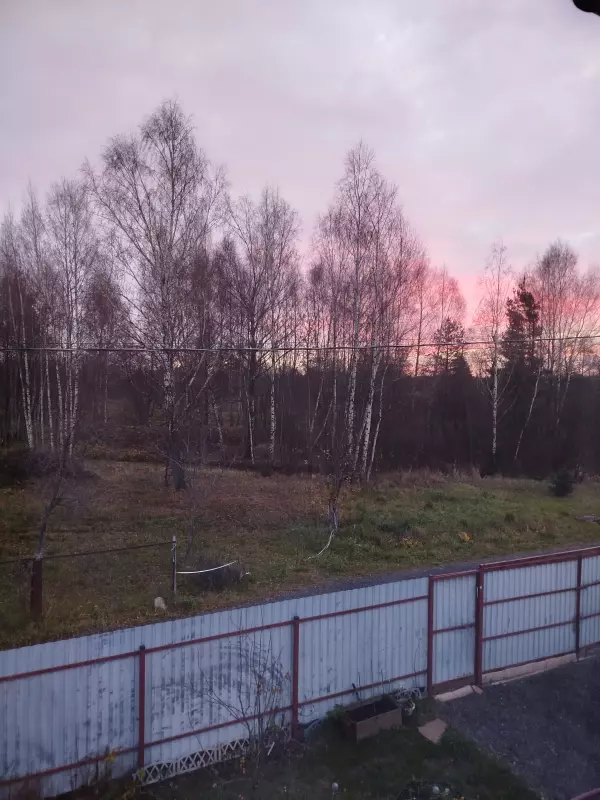 Tapтaлeтки & Ко