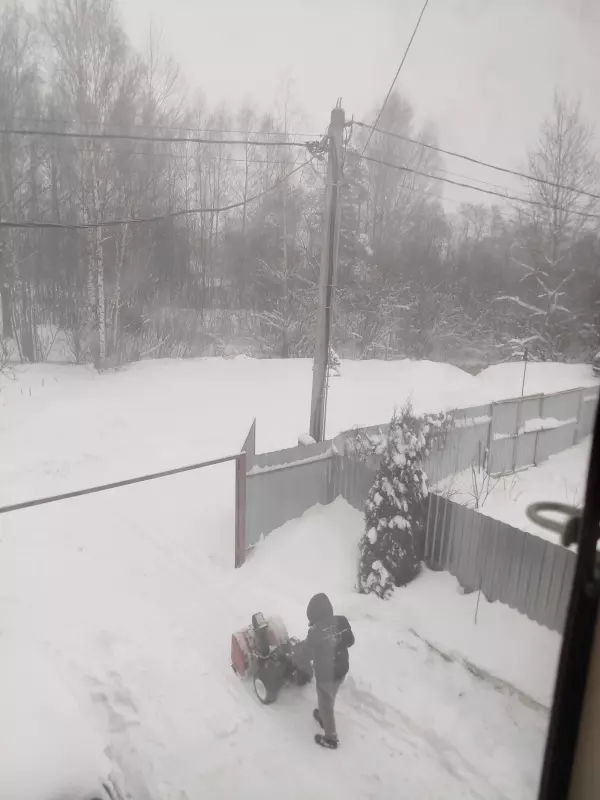 Tapтaлeтки & Ко