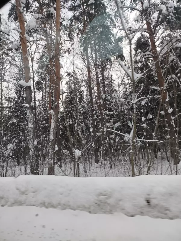 Tapтaлeтки & Ко