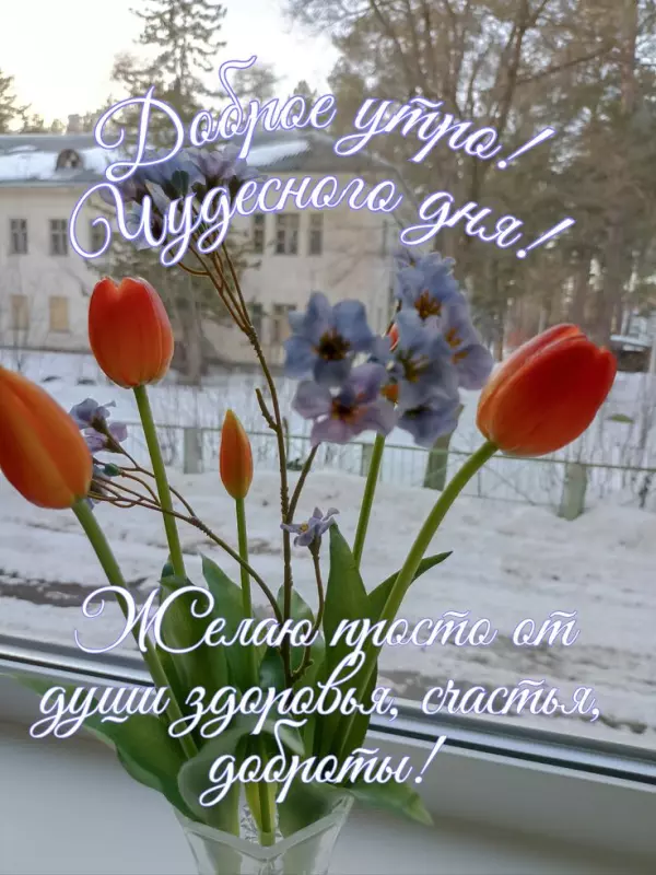 Tapтaлeтки & Ко