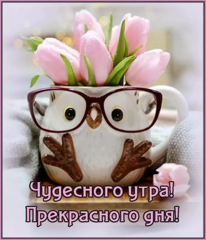 Tapтaлeтки & Ко