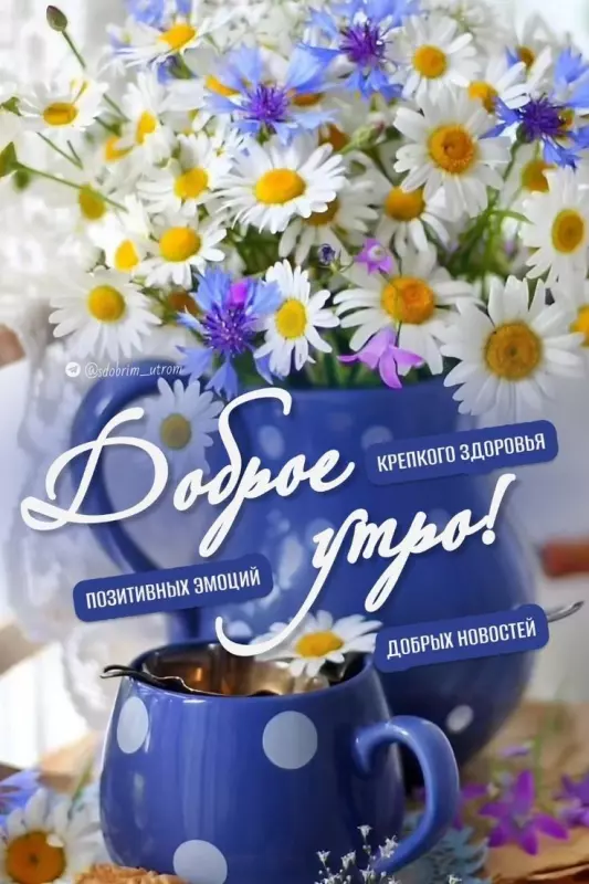 Tapтaлeтки & Ко