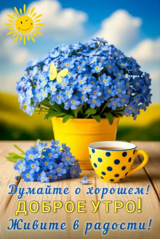 Tapтaлeтки & Ко