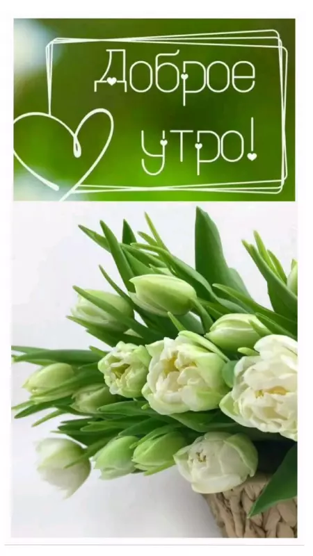 Tapтaлeтки & Ко