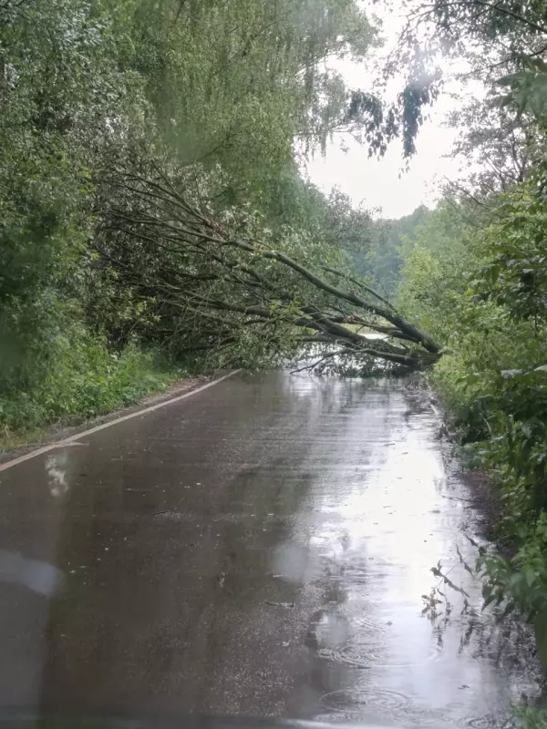 Чайная беседка