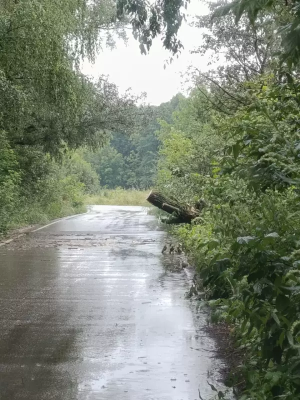 Чайная беседка