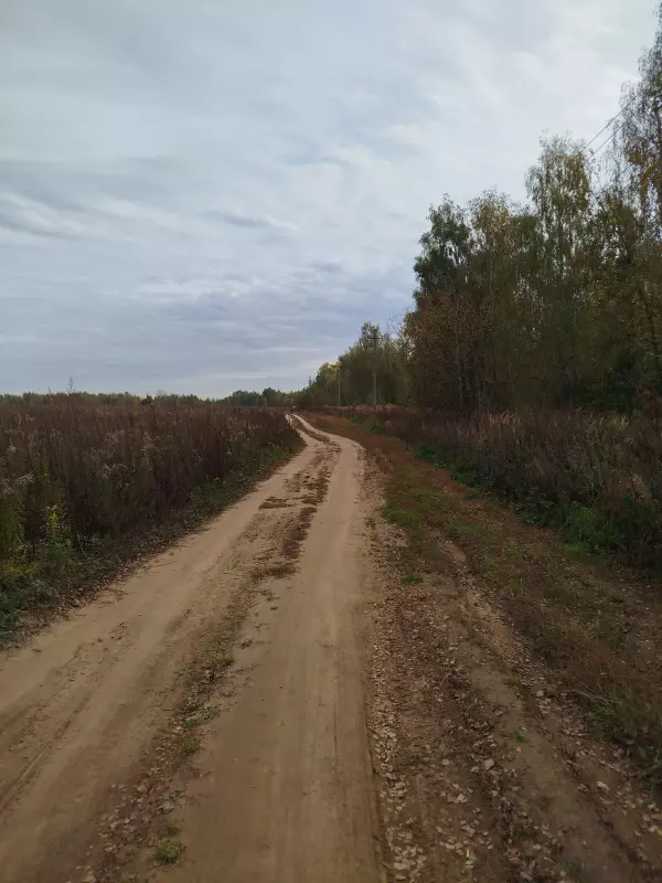 Чайная беседка