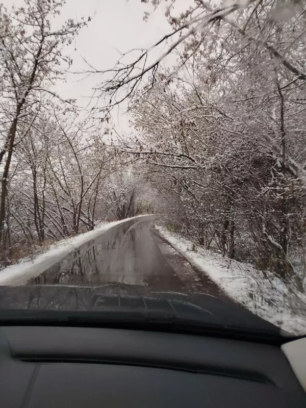 Чайная беседка