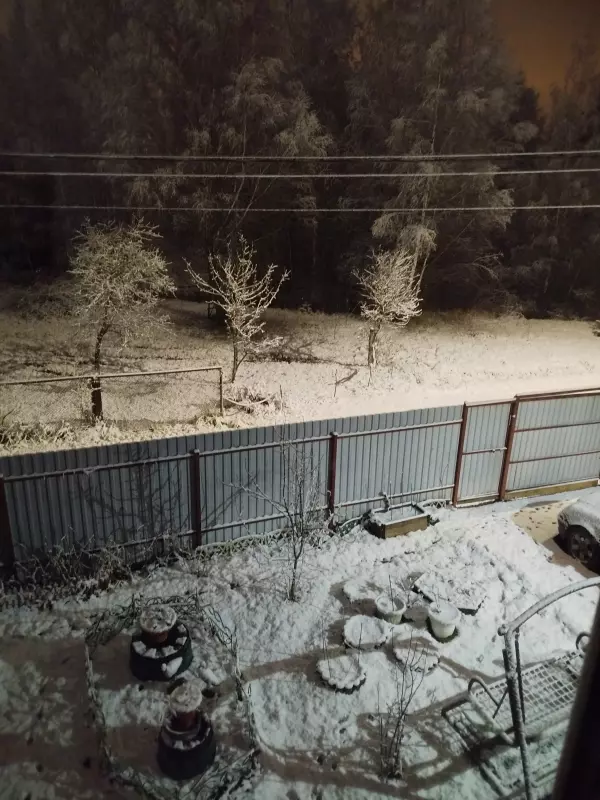 Чайная беседка