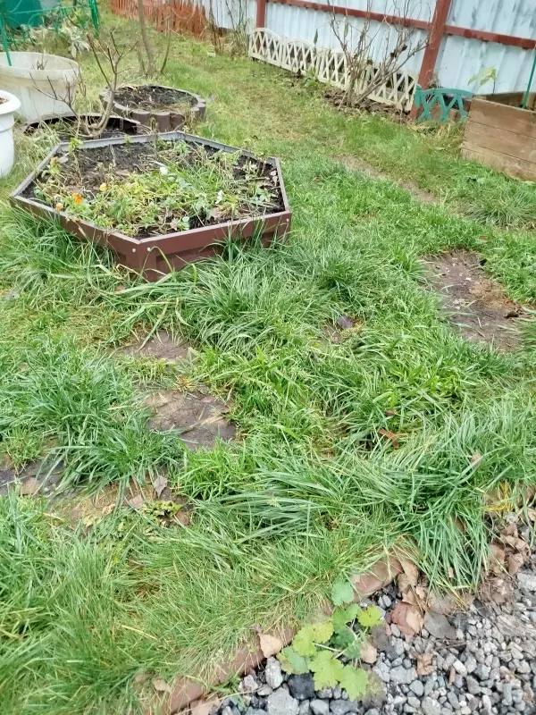 Чайная беседка