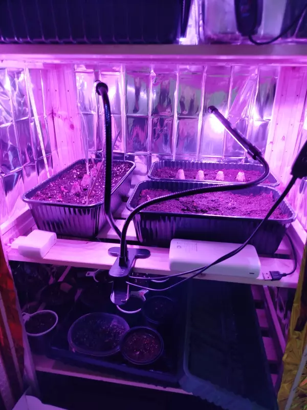 Техника, инструменты, удобные приспособления для сада, огорода, загородного дома