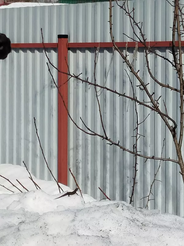 Чайная беседка