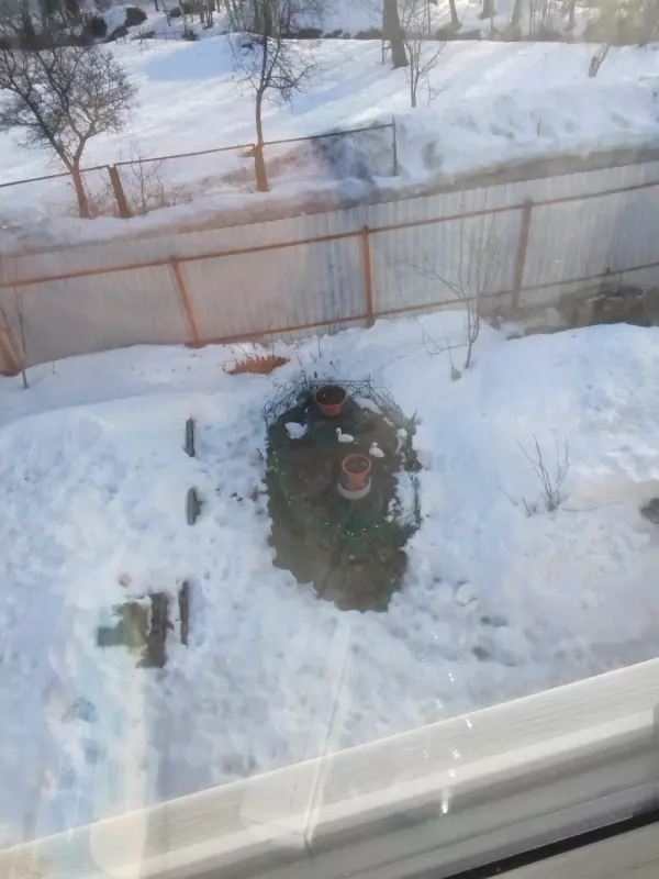 Чайная беседка