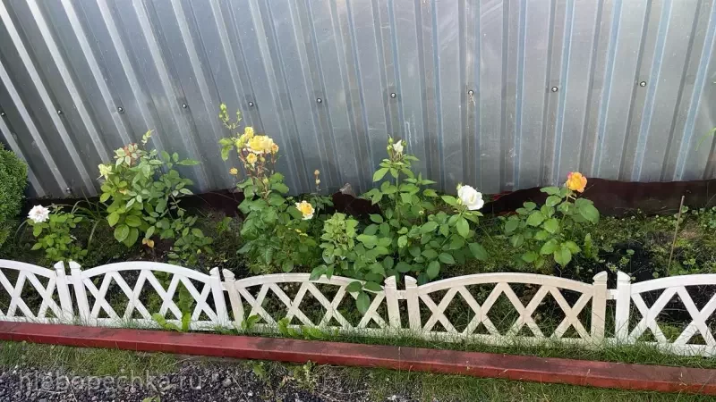 Дизайн участка