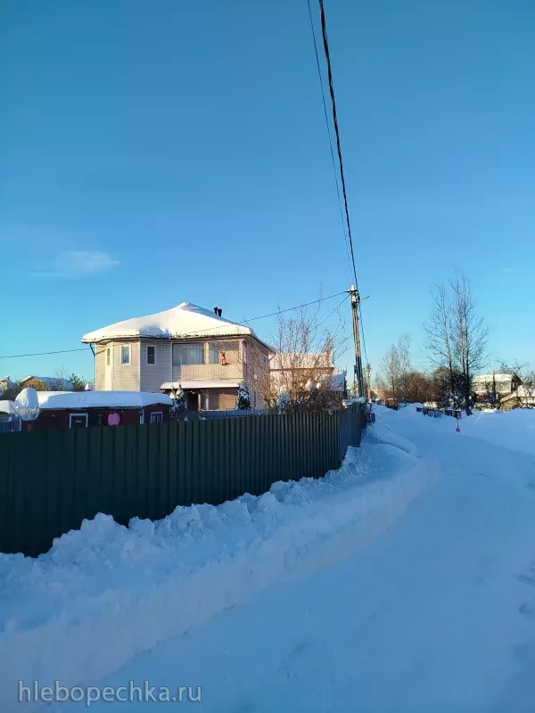 Дизайн участка