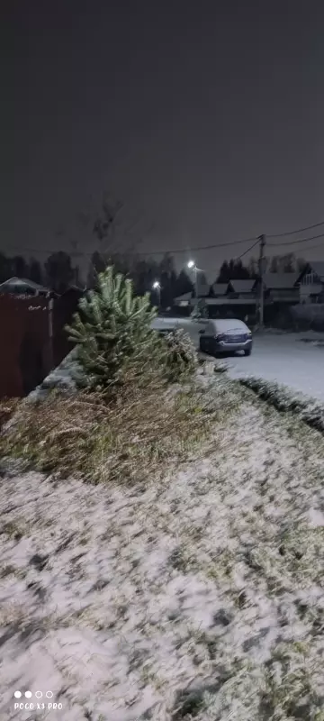 Tapтaлeтки & Ко