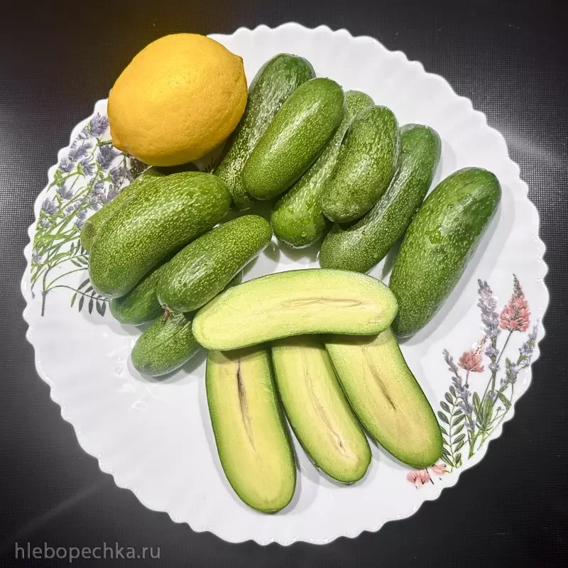 Удивительное рядом … Авокадо