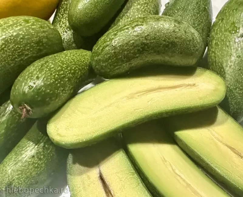 Удивительное рядом … Авокадо