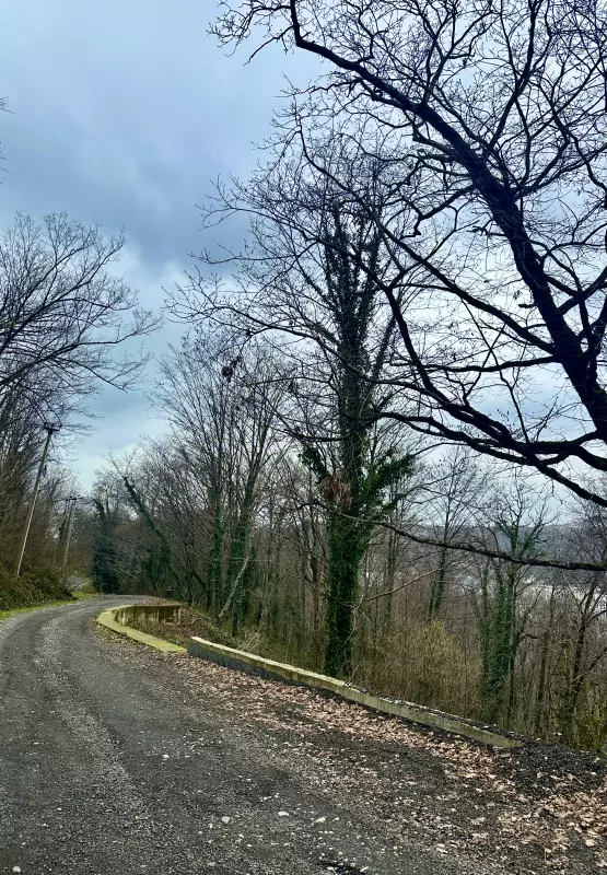 Сочи. Февраль. Весна пришла...!