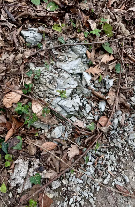 Сочи. Февраль. Весна пришла...!