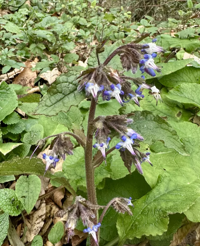 Сочи. Февраль. Весна пришла...!