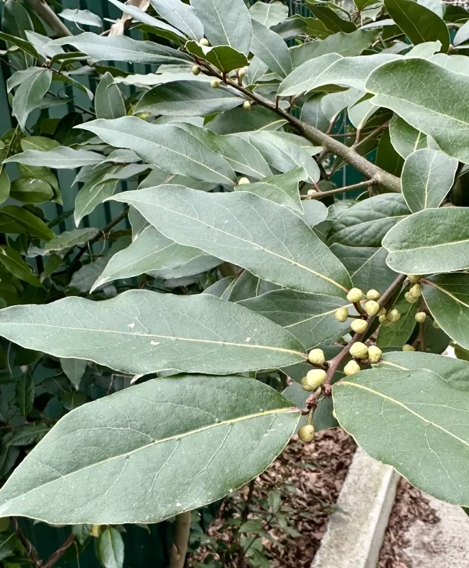 Сочи. Февраль. Весна пришла...!