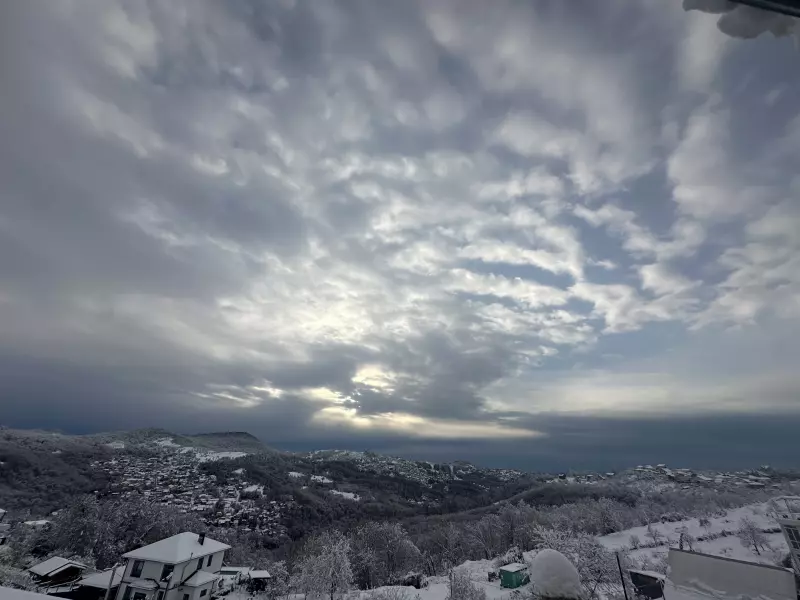 Такое разное небо