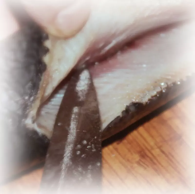 Селёдка. Частность II. Селёдка в «Папином» соусе