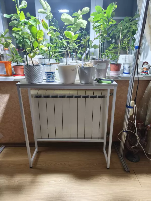 Что происходит с Ozon?