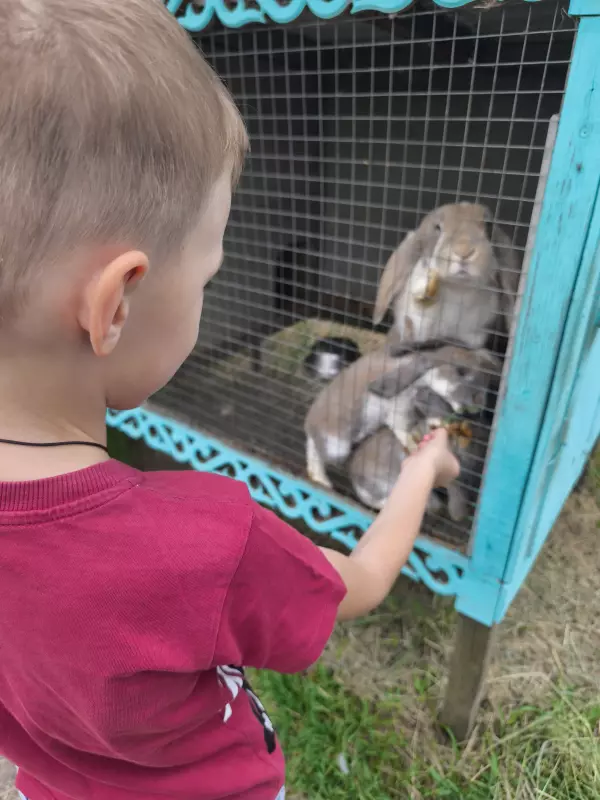 Чайная беседка