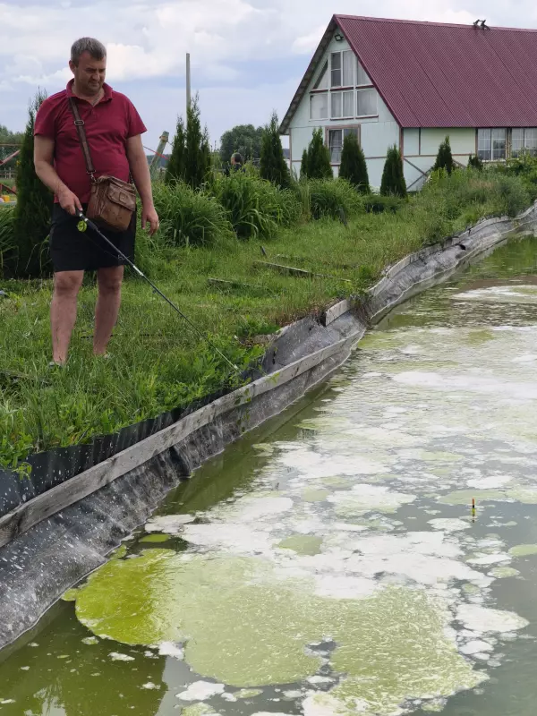 Чайная беседка