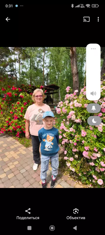 Чайная беседка