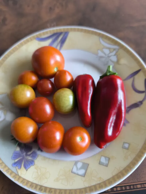 Чайная беседка