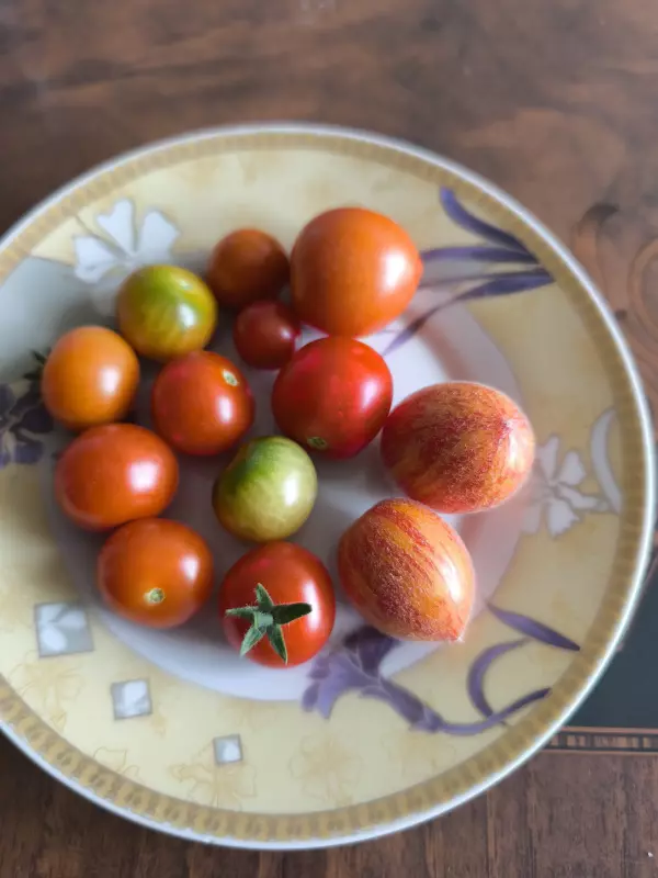 Чайная беседка