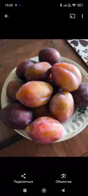 Чайная беседка