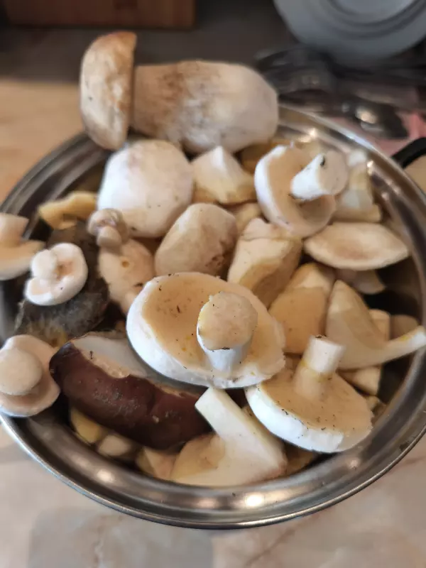 Чайная беседка