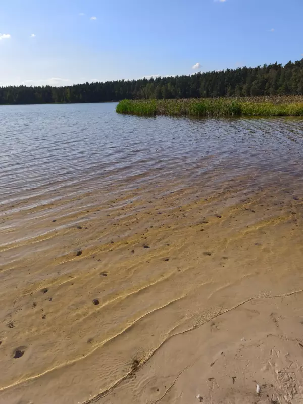 Чайная беседка