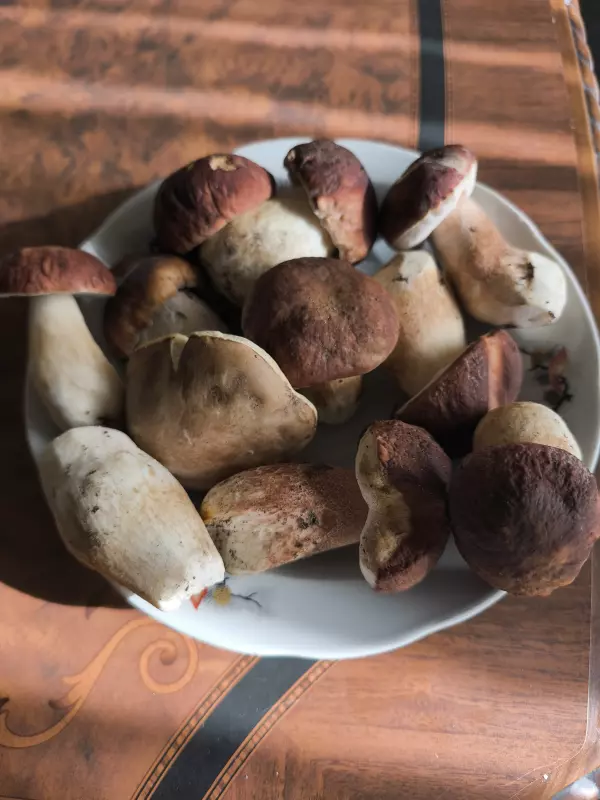 Чайная беседка