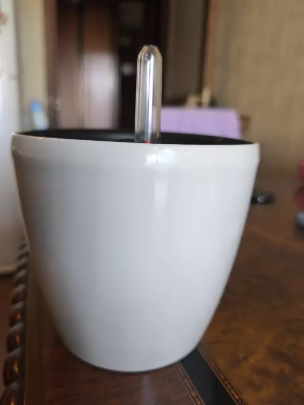 Чайная беседка